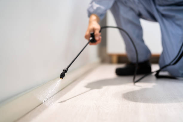 Licensed Pest Control service in York, SC - Show Me Pest Control