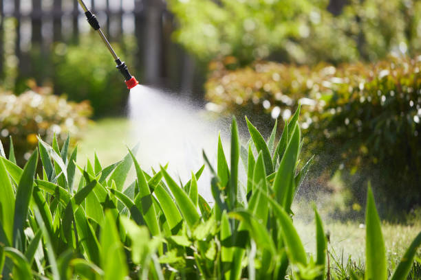 Tamper-Resistant Bait Stations for Rodents in York