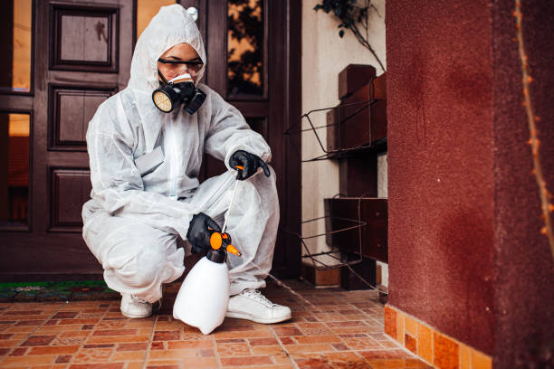 Attic and Crawl Space Rodent Treatment in York